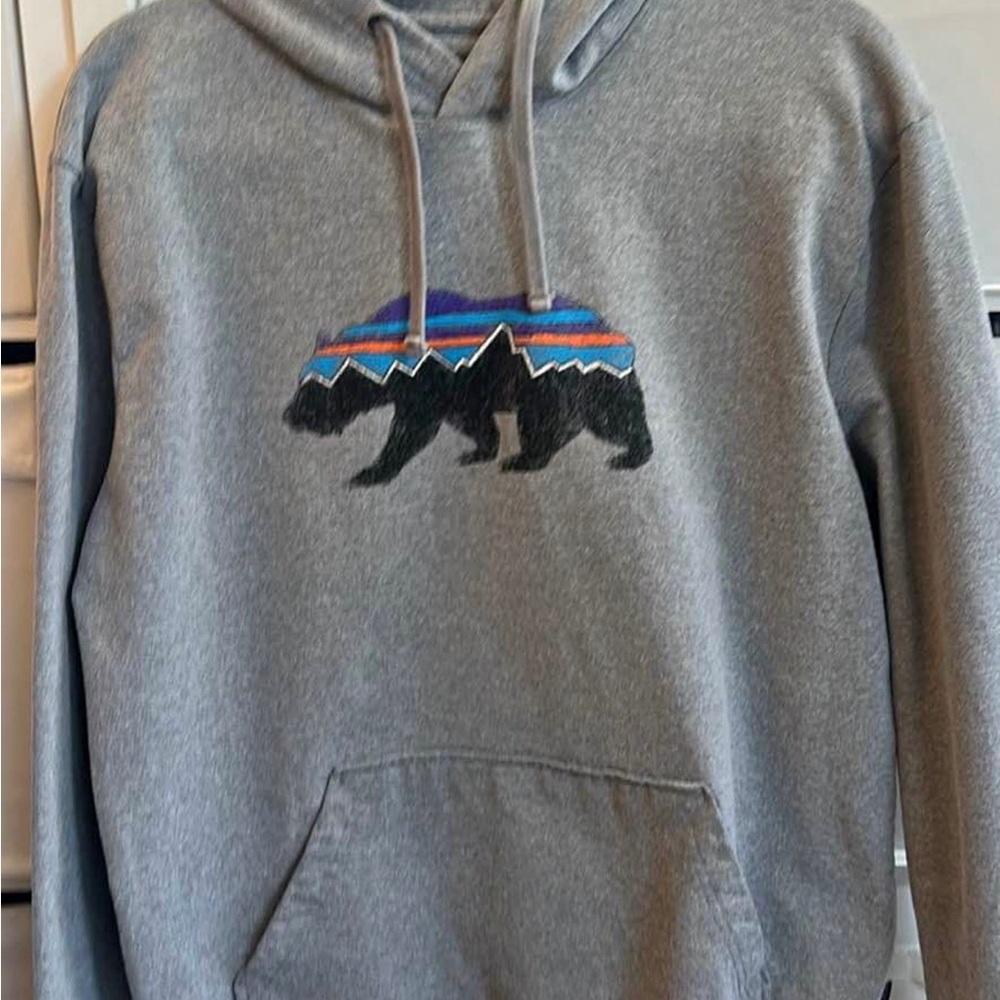 Patagonia Men's Fitz Roy Bear Midweight Hoody - Gray - Picture 10 of 10